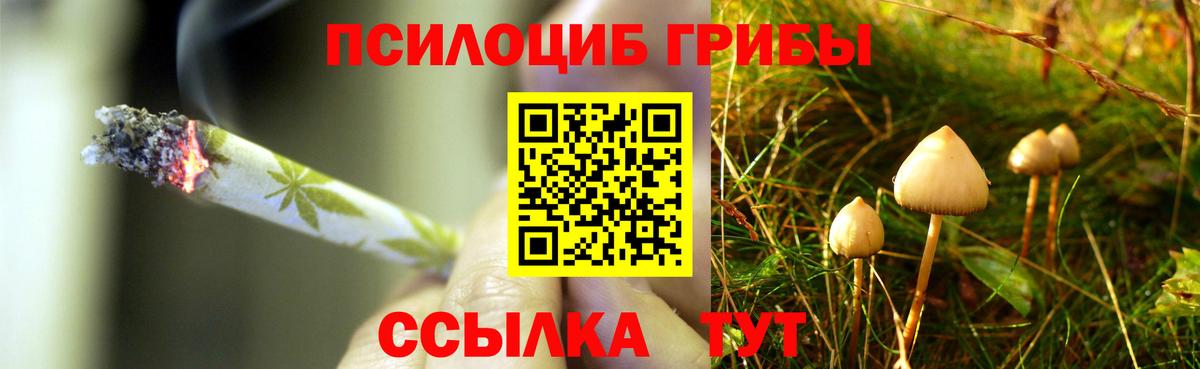 Галлюциногенные грибы ЛСД Югорск